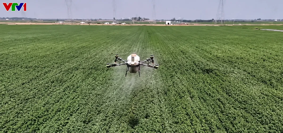 Cảm biến, drone hỗ trợ nông nghiệp ứng phó khí hậu cực đoan - Ảnh 1.