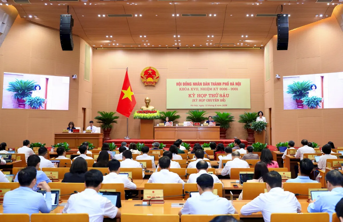 H&agrave; Nội th&ocirc;ng qua chủ trương đầu tư Khu phức hợp y tế 14.229 tỷ đồng - Ảnh 2.