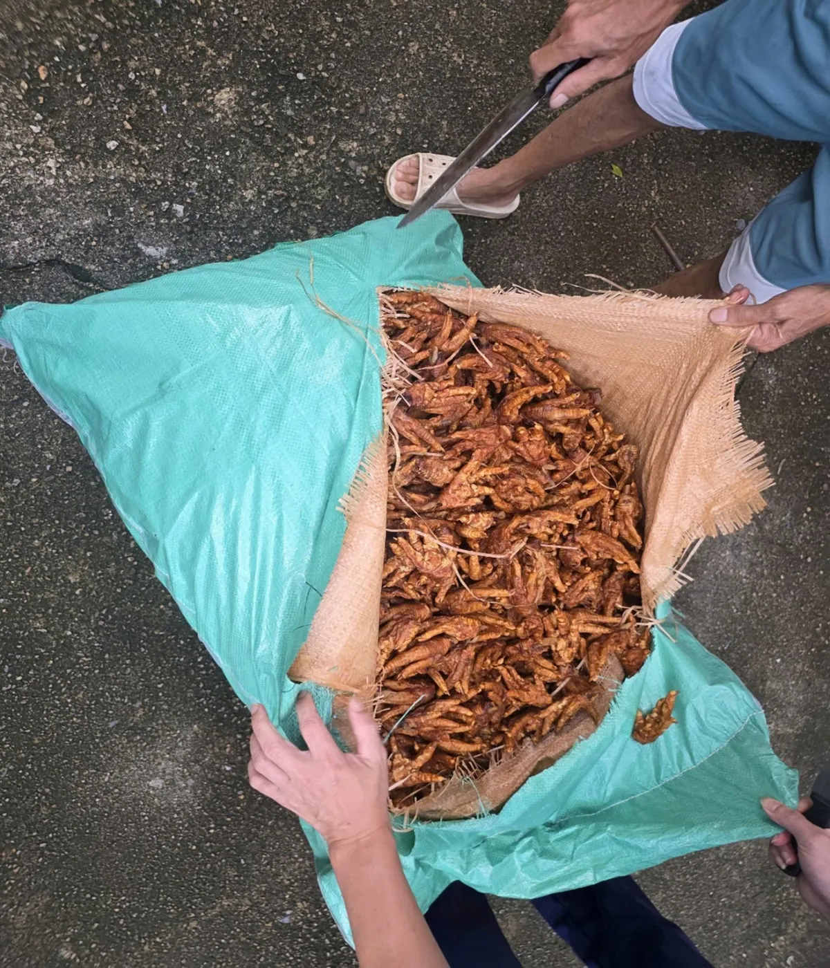Ph&aacute;t hiện xe tải vận chuyển 2.600kg ch&acirc;n g&agrave; đ&atilde; qua chế biến kh&ocirc;ng r&otilde; nguồn gốc - Ảnh 1.