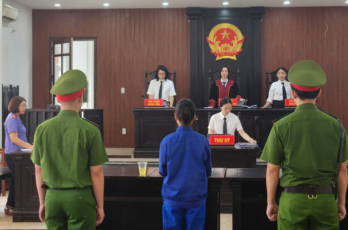 Nữ Giám đốc show "Về đây bốn cánh chim trời" hầu toà về hành vi lừa đảo - Ảnh 1.