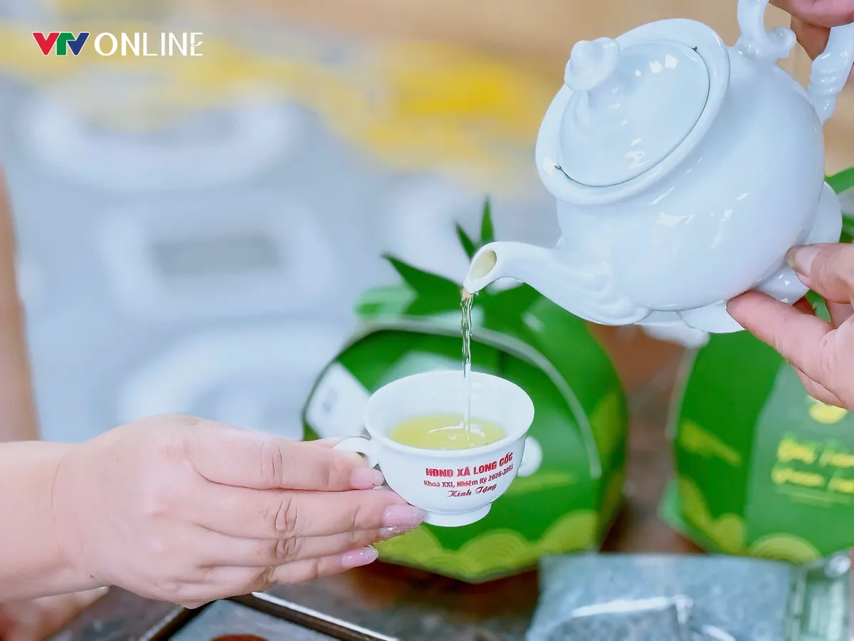 Phú Thọ: Khẳng định giá trị thương hiệu cây chè Đất tổ - Ảnh 6.