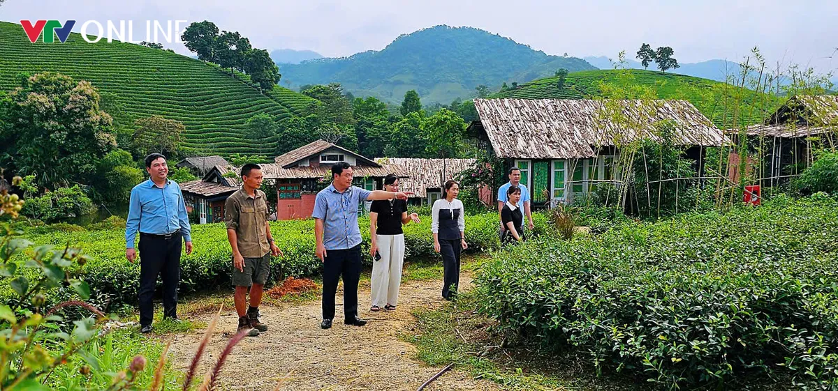 Phú Thọ: Khẳng định giá trị thương hiệu cây chè Đất tổ - Ảnh 5.
