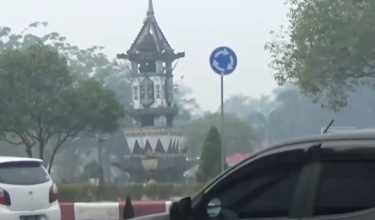 Indonesia đóng cửa trường học do khói cháy rừng- Ảnh 1.