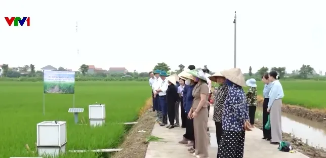 Công nghệ giải mã khí methane trên đồng ruộng - Ảnh 1.