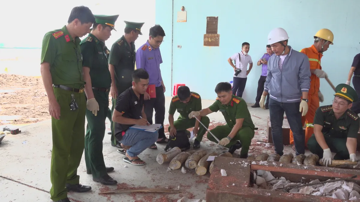 Hơn 1,1 tấn ngà voi cất giấu tinh vi trong 3 container gỗ, phủ kín bằng sáp- Ảnh 4.