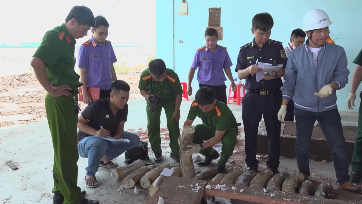 Hơn 1,1 tấn ngà voi cất giấu tinh vi trong 3 container gỗ, phủ kín bằng sáp- Ảnh 5.