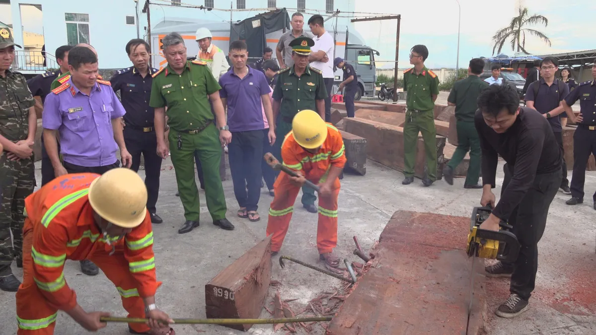 Hơn 1,1 tấn ngà voi cất giấu tinh vi trong 3 container gỗ, phủ kín bằng sáp- Ảnh 1.