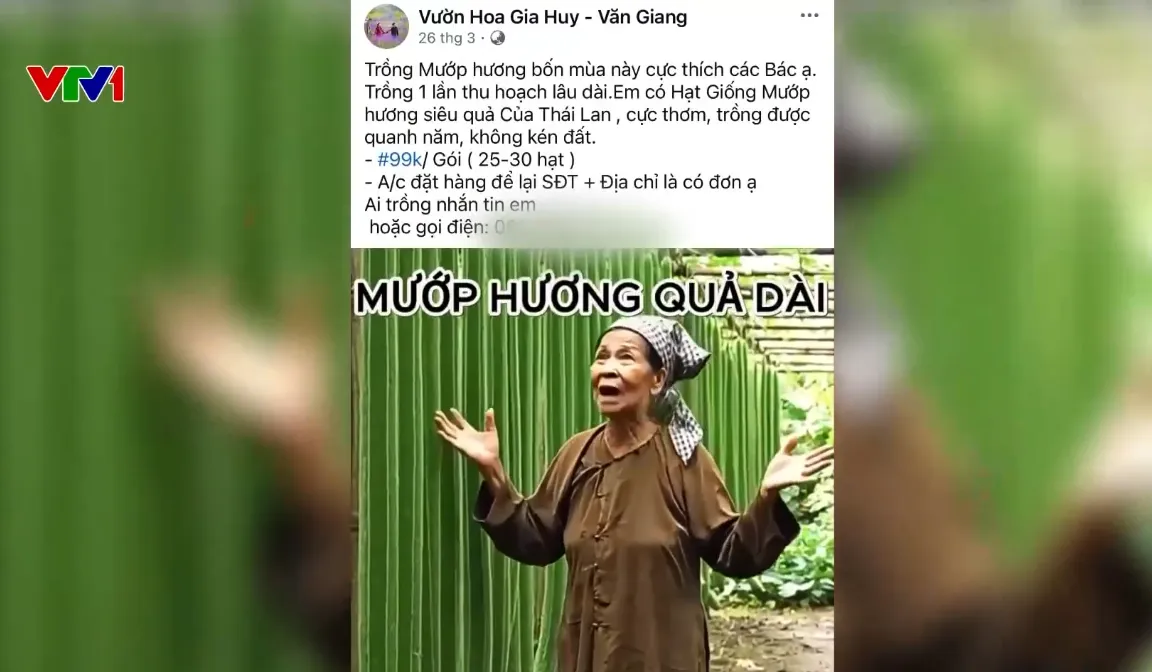 Quảng c&aacute;o si&ecirc;u c&acirc;y giống: C&acirc;y thật hay bẫy ảo? - Ảnh 1.