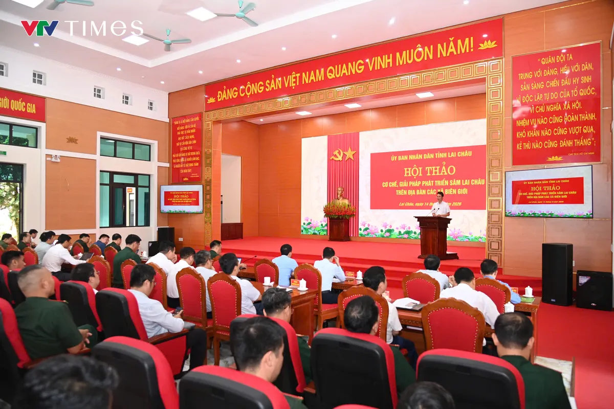 Phát triển Sâm Lai Châu: Giữ rừng, tạo sinh kế, bảo vệ biên giới - Ảnh 1.