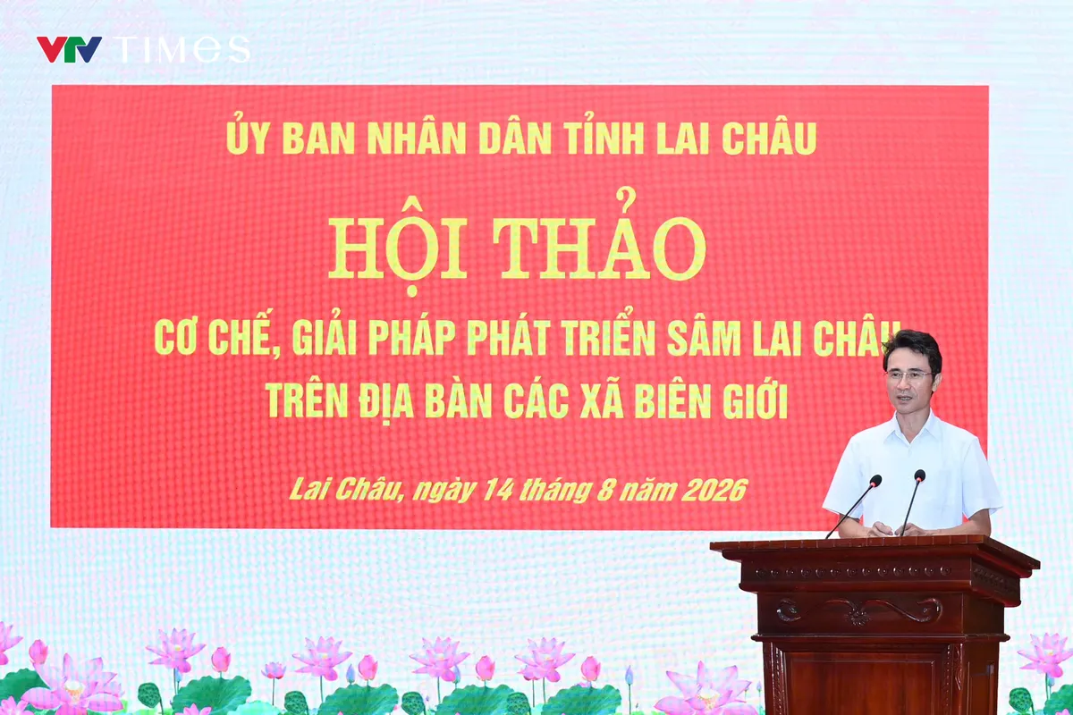 Phát triển Sâm Lai Châu: Giữ rừng, tạo sinh kế, bảo vệ biên giới - Ảnh 9.