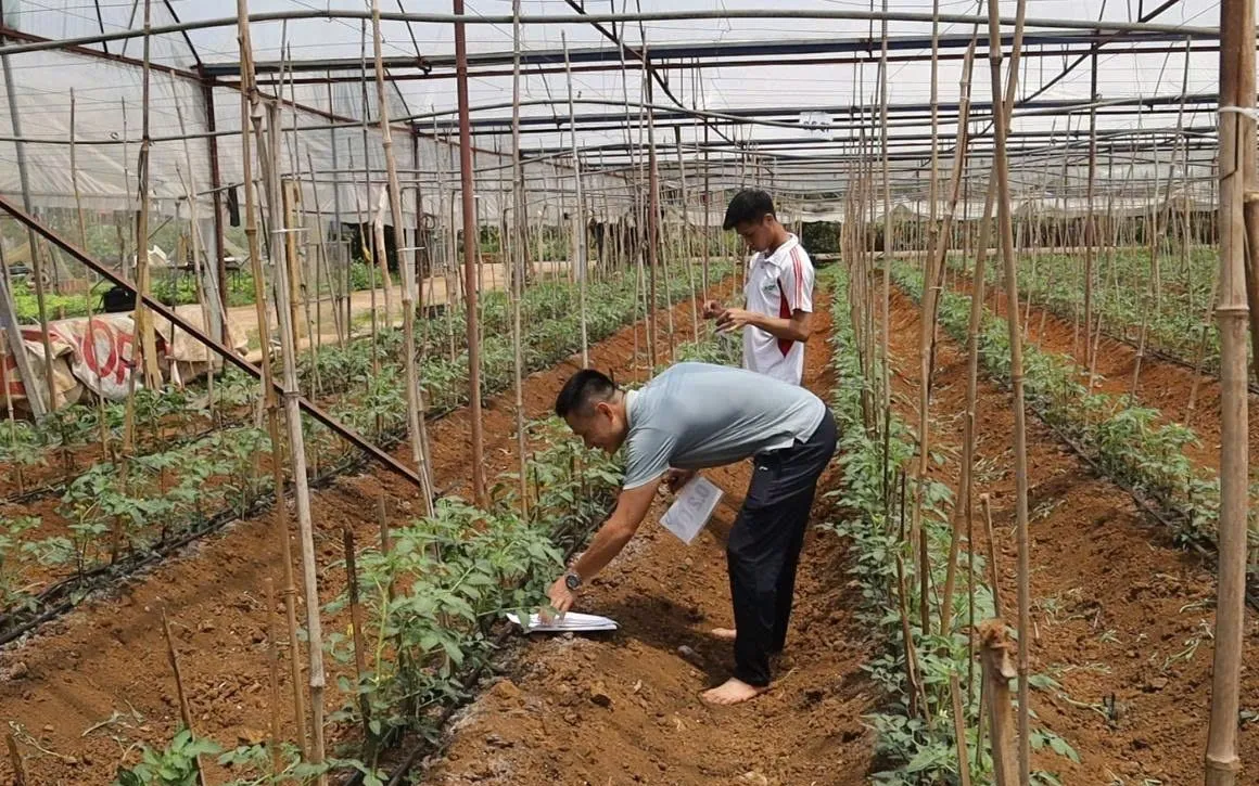 Sau hơn hai năm nghiên cứu, hệ thống đã được đưa vào vận hành thực tế tại HTX Rau an toàn Tự Nhiên, phường Mộc Sơn, tỉnh Sơn La. Ảnh: Bộ KH&CN 