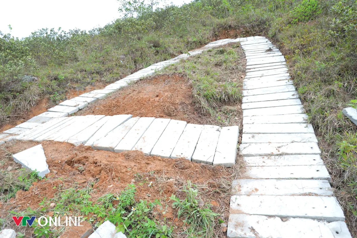 Nghệ An: Phục dựng dòng chữ “Bác Hồ sống mãi”, phát huy giá trị lịch sử của dân tộc - Ảnh 3.