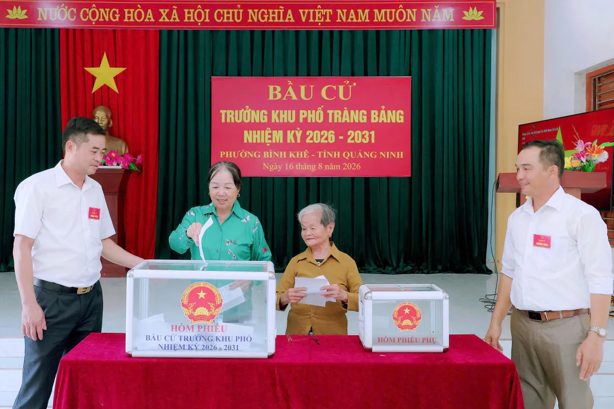 Quảng Ninh: S&ocirc;i nổi Ng&agrave;y hội Bầu cử trưởng th&ocirc;n, khu phố- Ảnh 3.