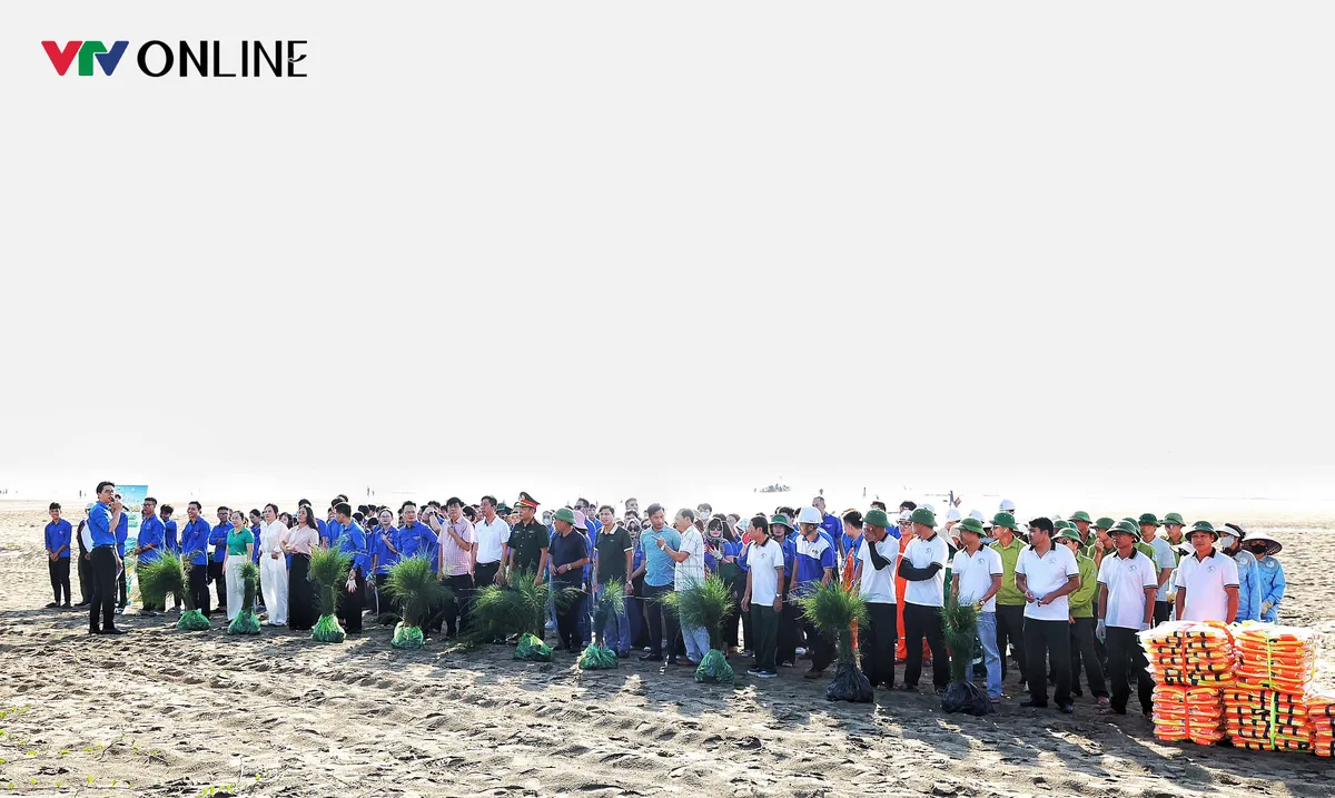 Tuổi trẻ VTV trồng 2.000 cây phi lao, trao cờ Tổ quốc tới ngư dân Sầm Sơn - Ảnh 1.