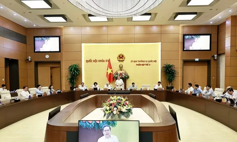 Ủy ban Thường vụ Quốc hội ban hành nghị quyết về công tác cán bộ - Ảnh 1.