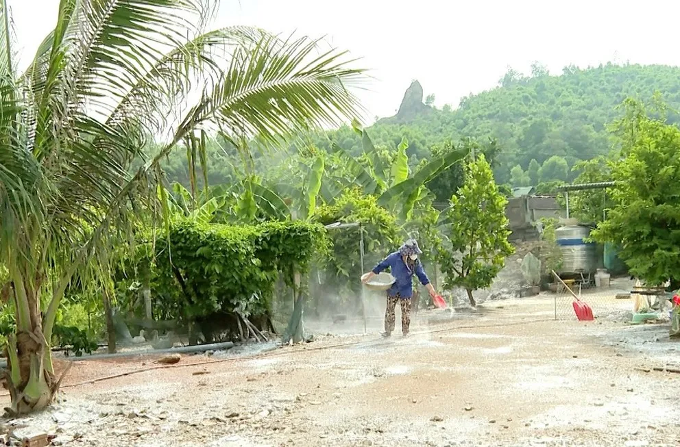 Ninh Bình chủ động giữ an toàn đàn vật nuôi trước nguy cơ dịch chồng dịch - Ảnh 3.