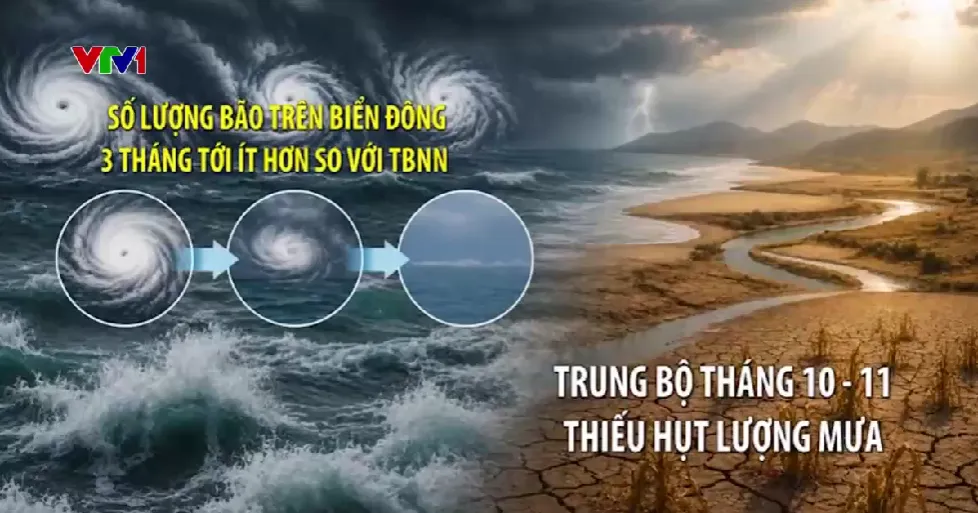 El Nino khiến b&atilde;o &iacute;t hơn v&agrave; m&ugrave;a đ&ocirc;ng ấm - Ảnh 1.