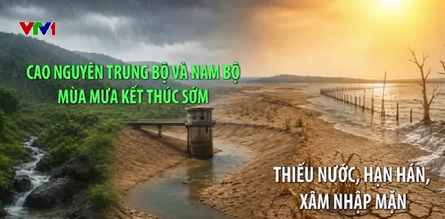 El Nino khiến b&atilde;o &iacute;t hơn v&agrave; m&ugrave;a đ&ocirc;ng ấm - Ảnh 2.