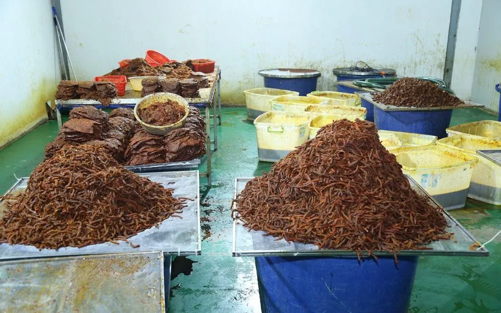 Nguyên liệu đang được chế biến (Ảnh: Công an TP Đồng Nai)