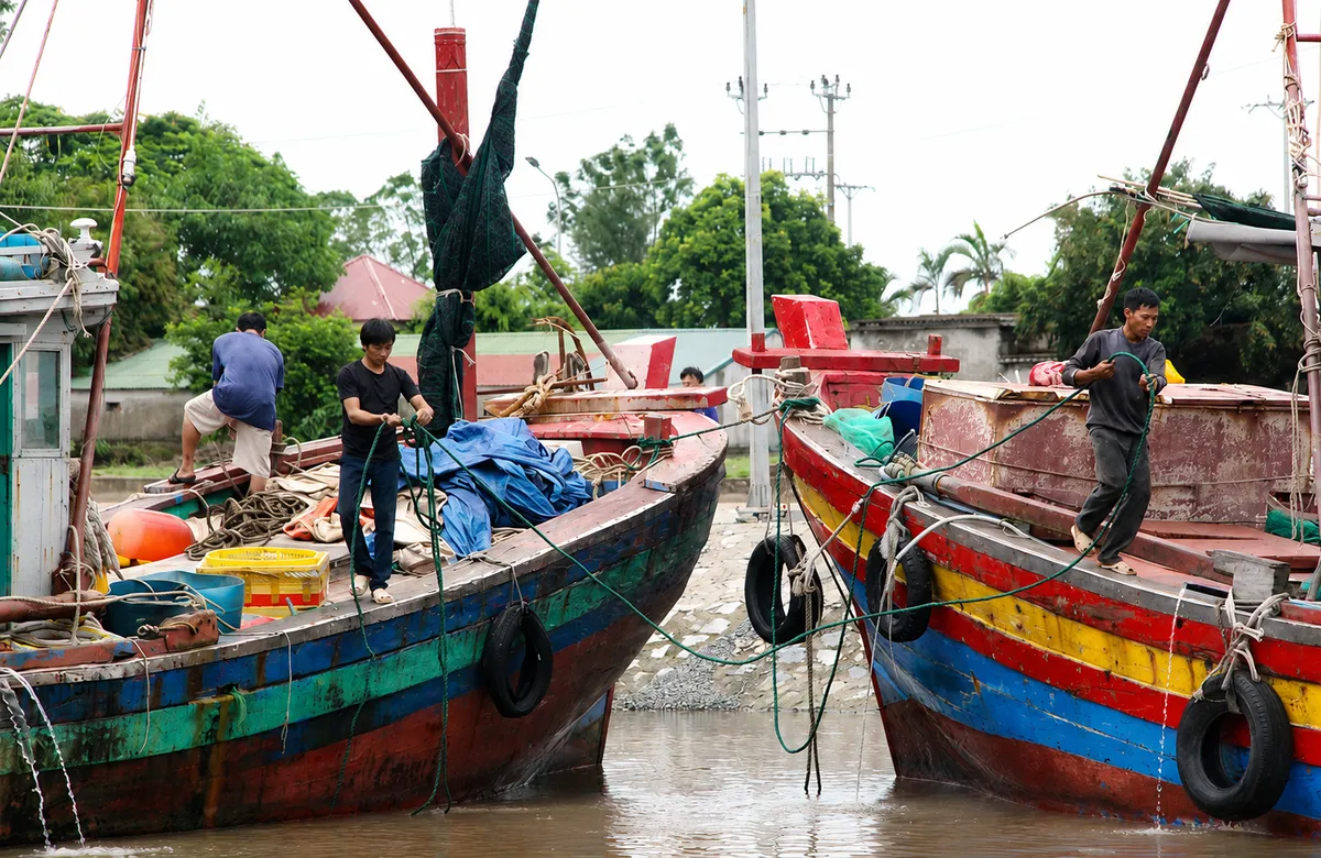 Ninh Bình chủ động ứng phó áp thấp nhiệt đới, mưa lớn và nguy cơ sạt lở - Ảnh 2.