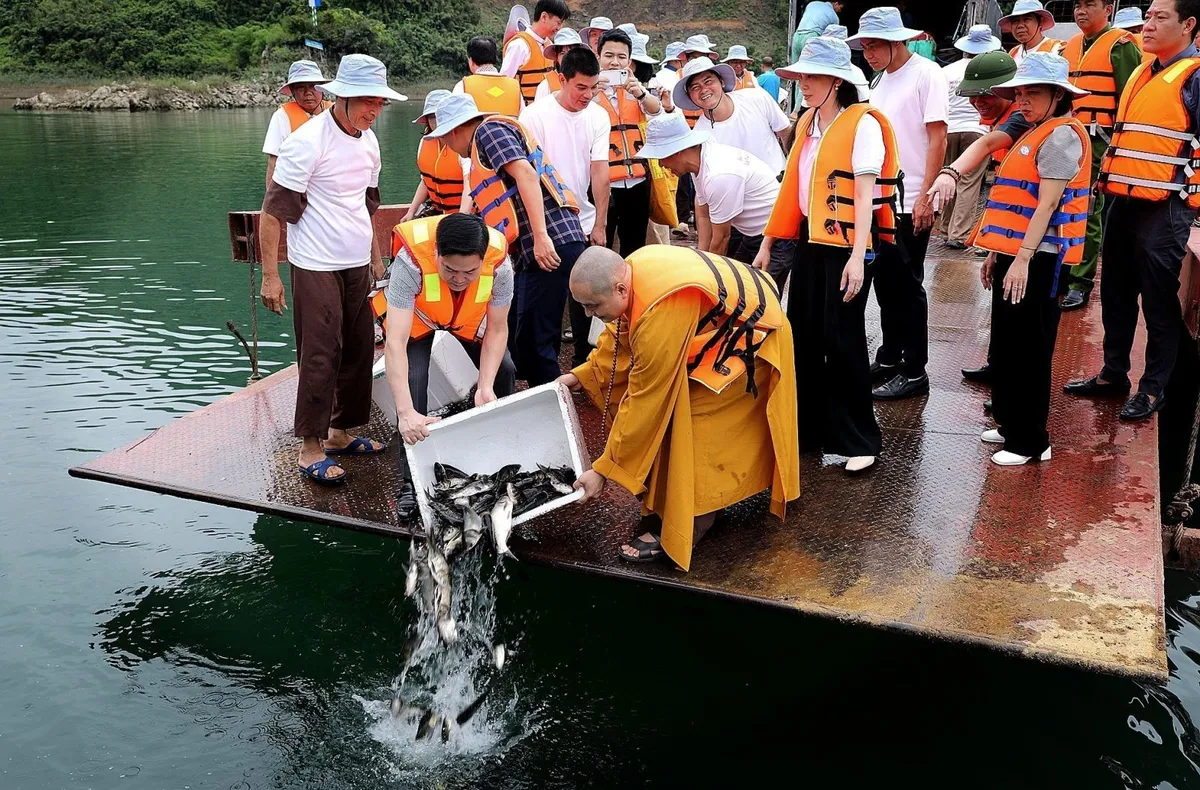 Không thu gom động vật số lượng lớn để phóng sinh - Ảnh 1.