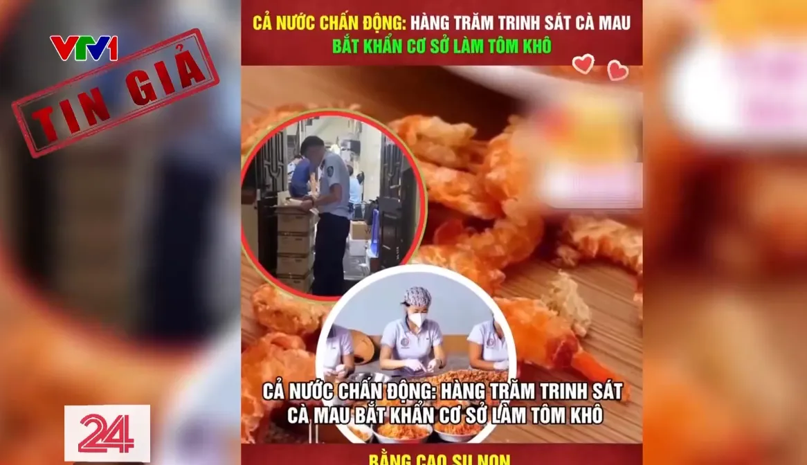 Nỗi lo thật trước tin giả về thực phẩm giả - Ảnh 2.