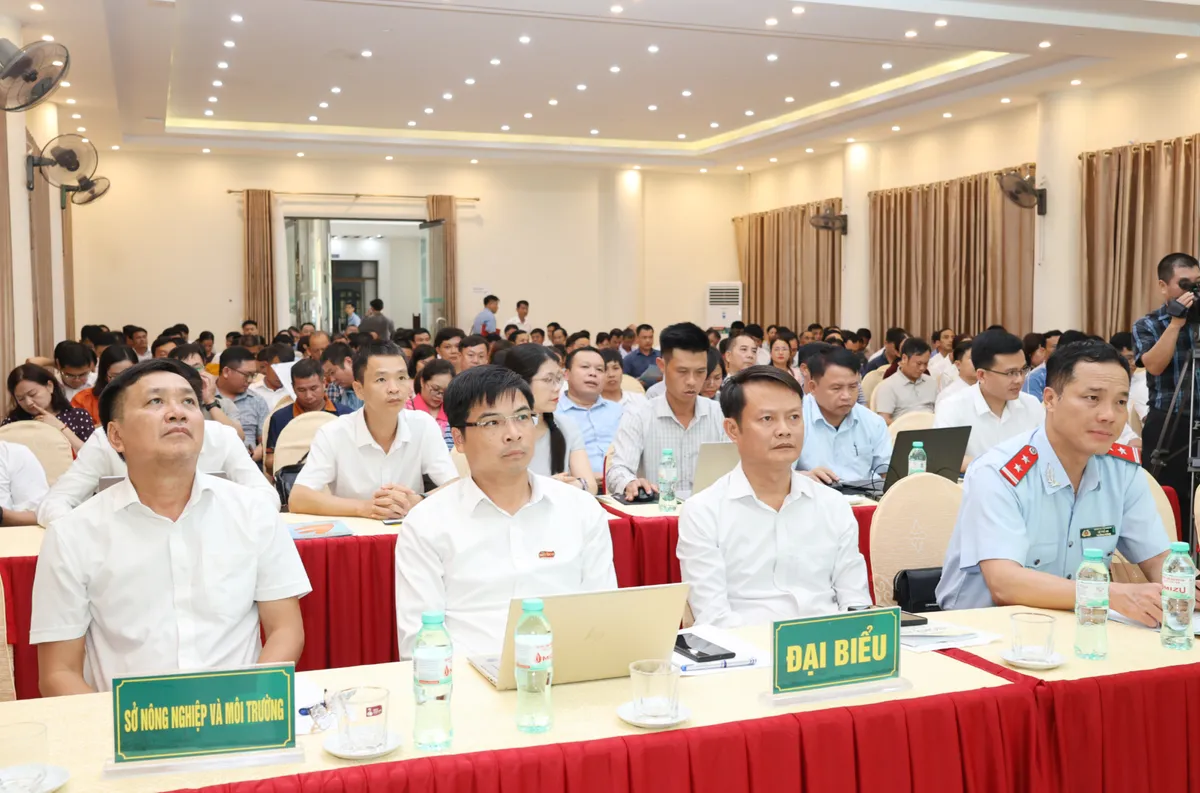 Nghệ An: Chủ động phòng, chống thiên tai và sâu bệnh, bảo vệ năng suất Vụ Đông 2026 - Ảnh 1.