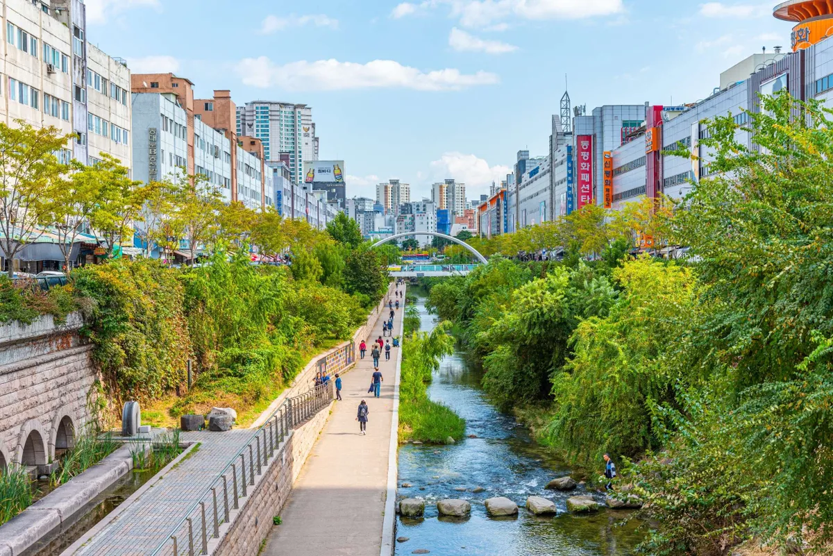Seoul ngột ngạt trong chuỗi đêm nhiệt đới kỷ lục: Khi màn đêm không còn là “nơi trú ẩn” - Ảnh 4.