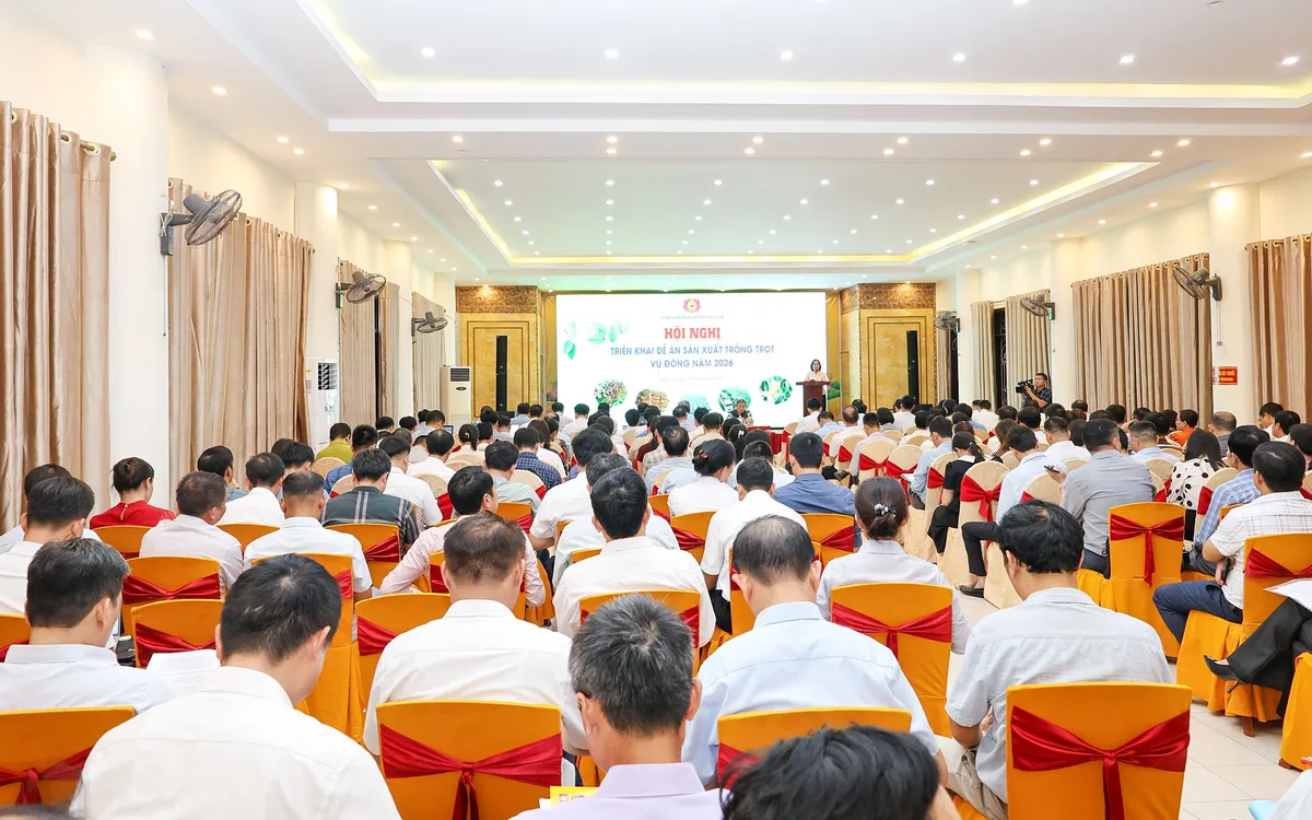 Hội nghị triển khai Đề án sản xuất trồng trọt vụ Đông năm 2026. Ảnh UBND Nghệ An.