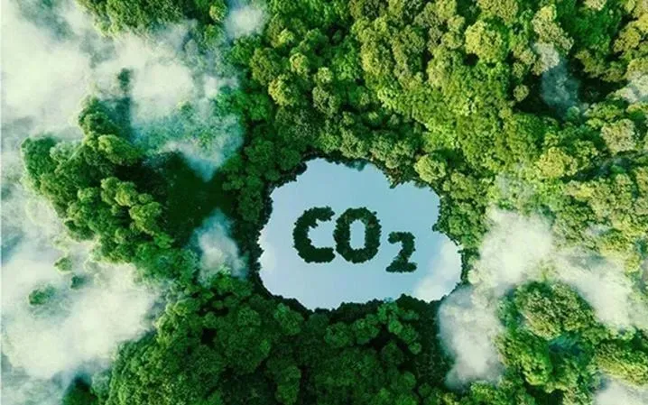 Phân quyền địa phương trong quản lý tín chỉ carbon - Ảnh minh họa