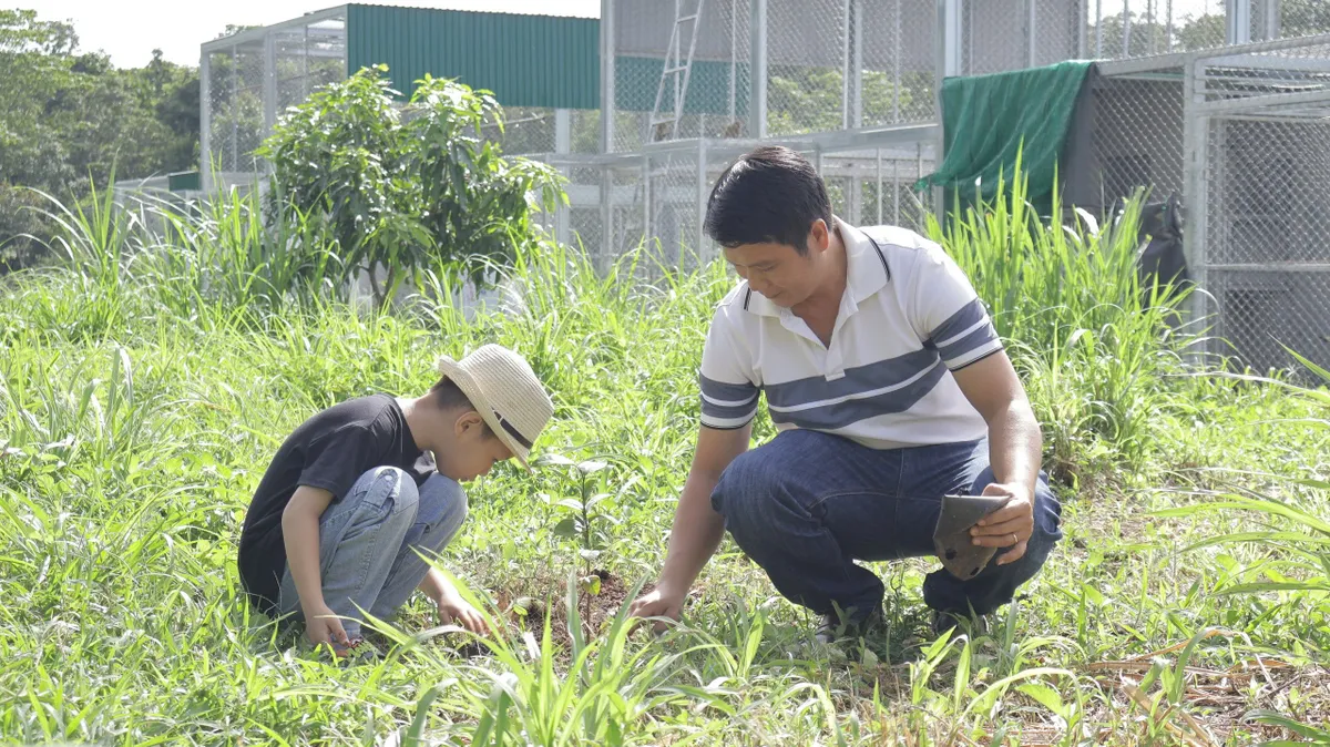 Tuổi trẻ chung tay "góp cây gây rừng", phủ xanh Buôn Đôn, hỗ trợ bảo tồn voi - Ảnh 8.