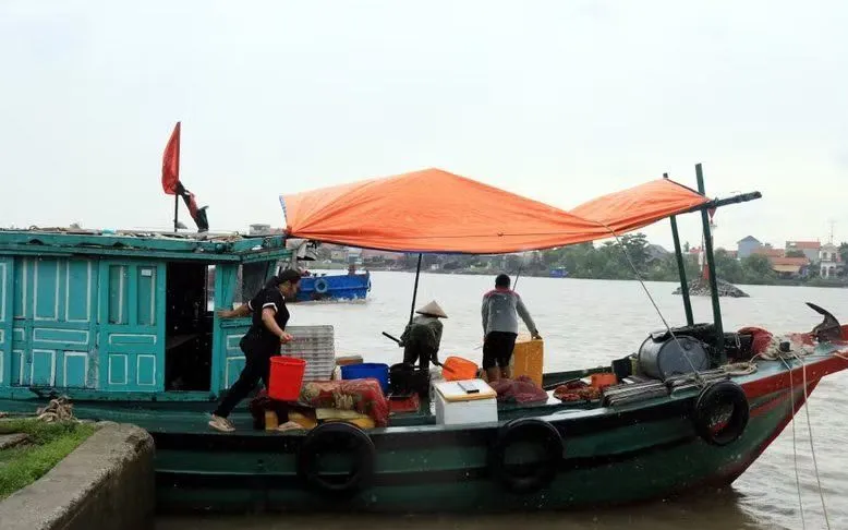 Người dân khu vực bến Chanh, phường Quảng Yên khẩn trương vận chuyển hải sản lên bờ tránh trú bão số 4. (Ảnh: Đức Hiếu/TTXVN)
