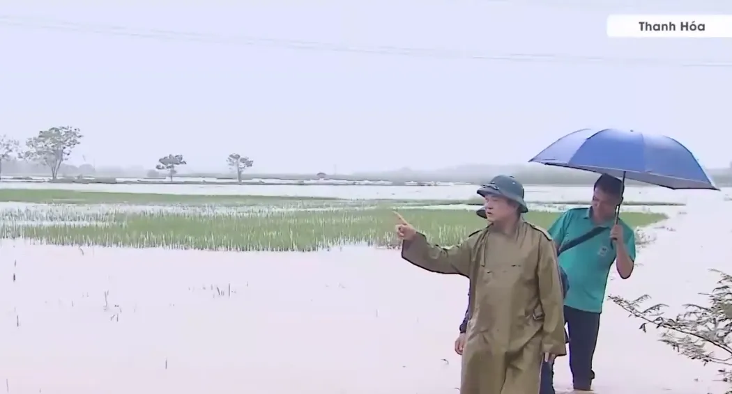 Mưa lớn gây ngập hàng trăm hecta lúa và rau màu ở Thanh Hóa - Ảnh 1.