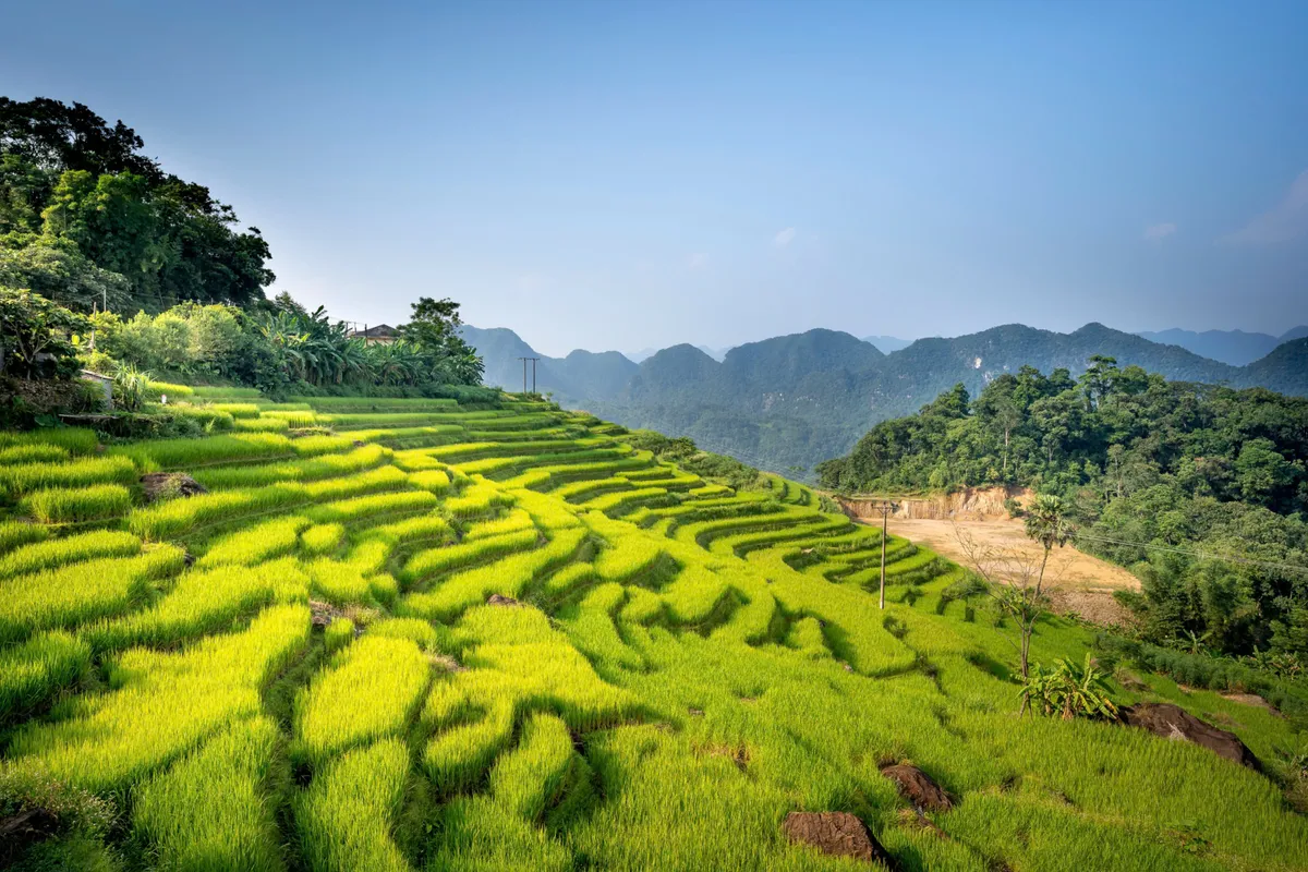 P&ugrave; Lu&ocirc;ng - "Liều thuốc xanh" cho sức khỏe thể chất v&agrave; tinh thần- Ảnh 1.