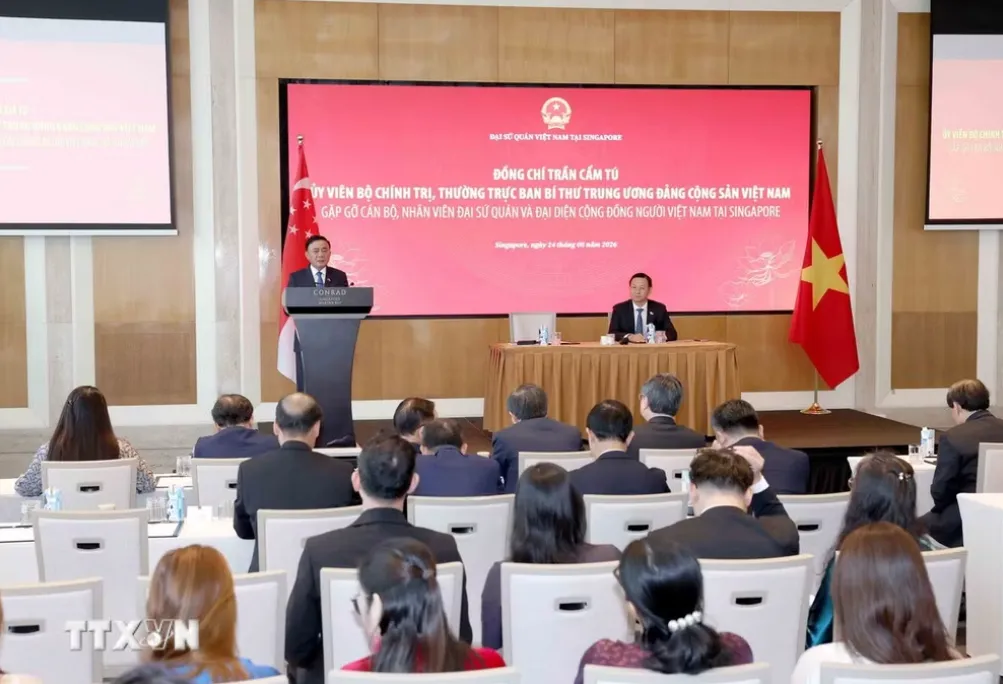 Gắn kết cộng đồng người Việt Nam tại Singapore để góp phần đưa quan hệ hai nước đi vào chiều sâu- Ảnh 1.