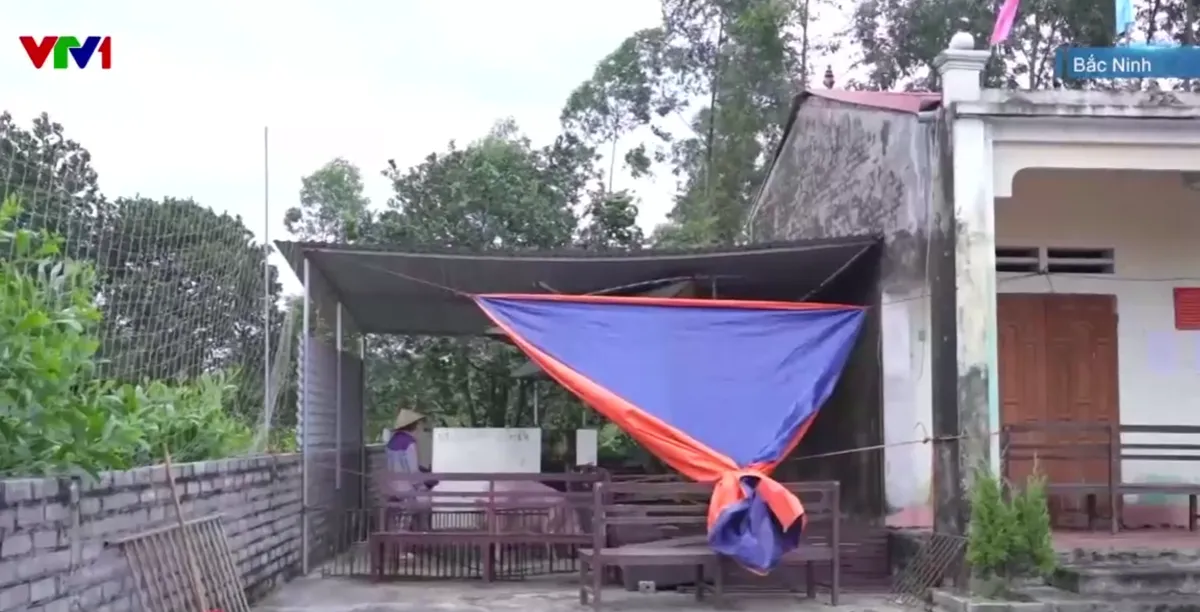Hơn 17.200 ha lúa ngập, hàng nghìn gia súc và gia cầm chết do mưa lũ - Ảnh 3.