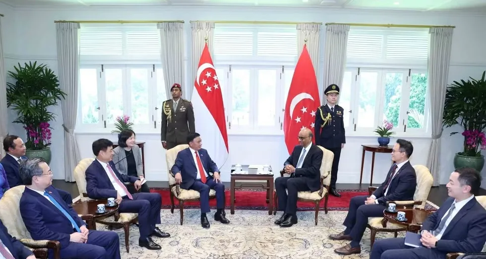 Triển khai hiệu quả khuôn khổ Đối tác Chiến lược Toàn diện Việt Nam - Singapore - Ảnh 2.