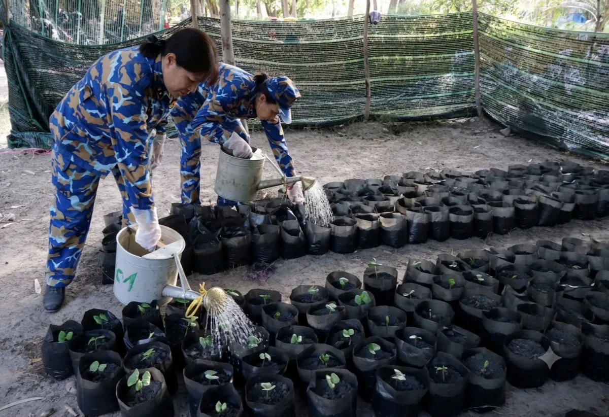 Hội phụ nữ Lữ đoàn 101 tích cực hưởng ứng Chương trình "Xanh hóa Trường Sa" - Ảnh 3.