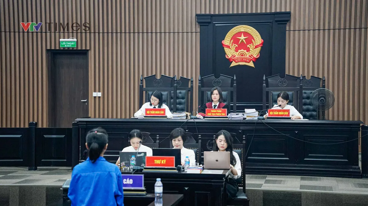 Giám đốc show "Về đây bốn cánh chim trời" bị tuyên phạt 2 năm tù - Ảnh 1.