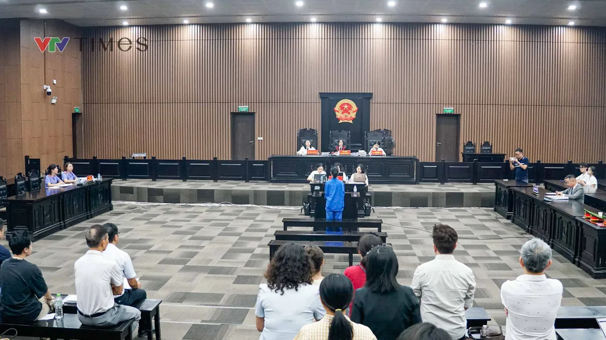 Mở lại phiên xét xử Giám đốc show “Về đây bốn cánh chim trời” - Ảnh 1.