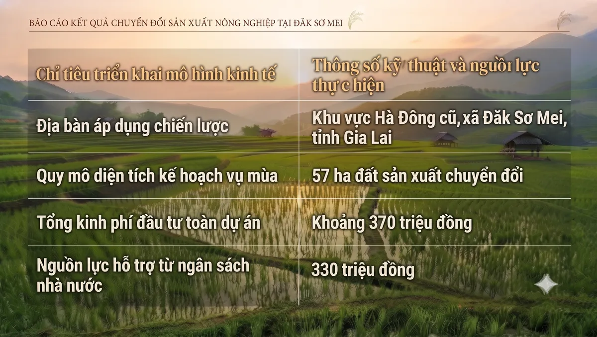 Đăk Sơ Mei: Khát vọng vươn lên từ những mô hình chuyển đổi sinh kế- Ảnh 1. Đăk Sơ Mei: Khát vọng vươn lên từ những mô hình chuyển đổi sinh kế- Ảnh 1.