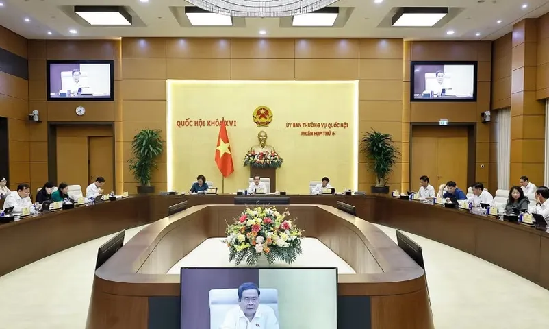 Ủy ban Thường vụ Quốc hội ban hành các nghị quyết về công tác nhân sự, tổ chức- Ảnh 1.