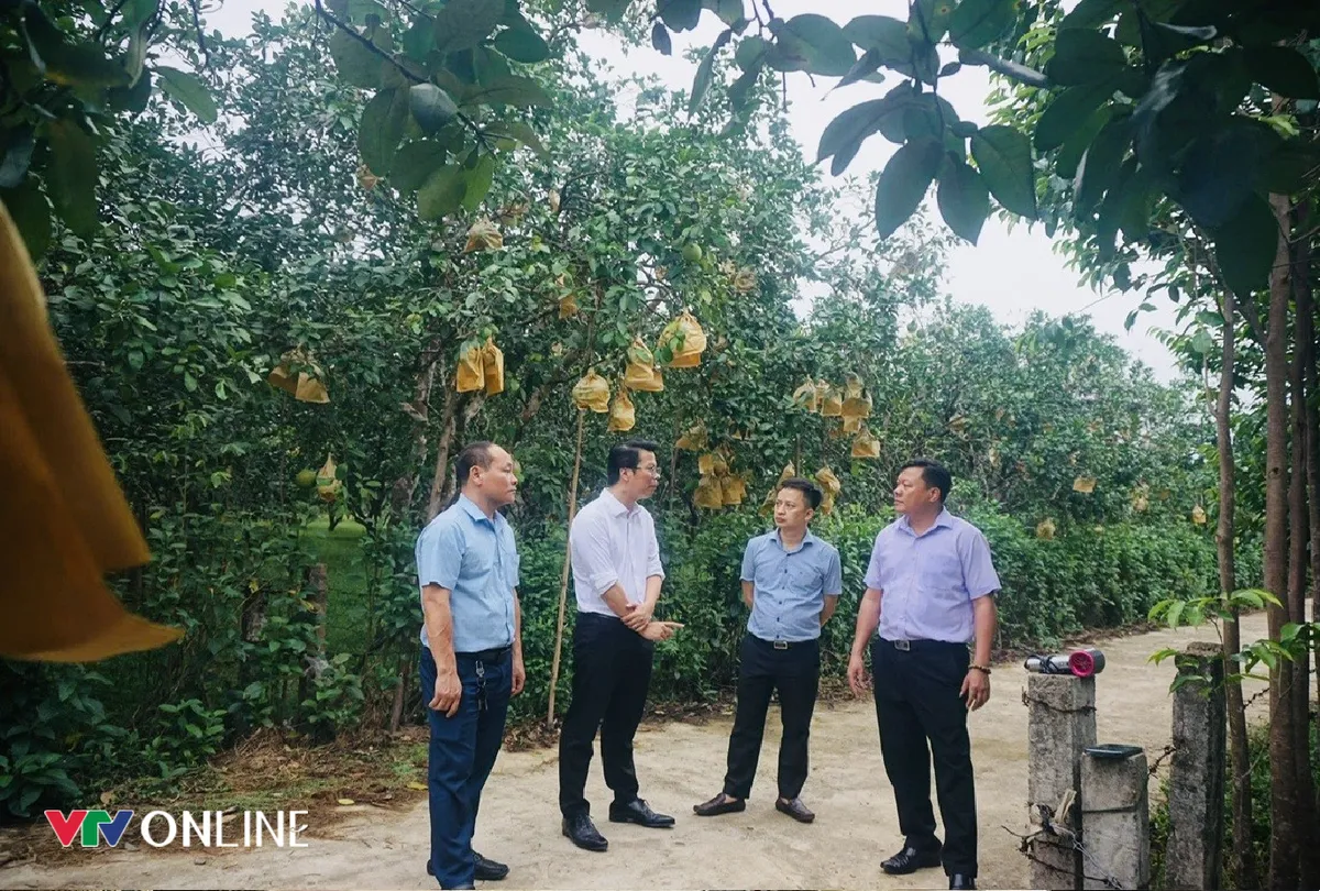 Hà Tĩnh: Phúc Trạch đưa Nghị quyết 57 vào thực tiễn từ những việc cụ thể - Ảnh 4.