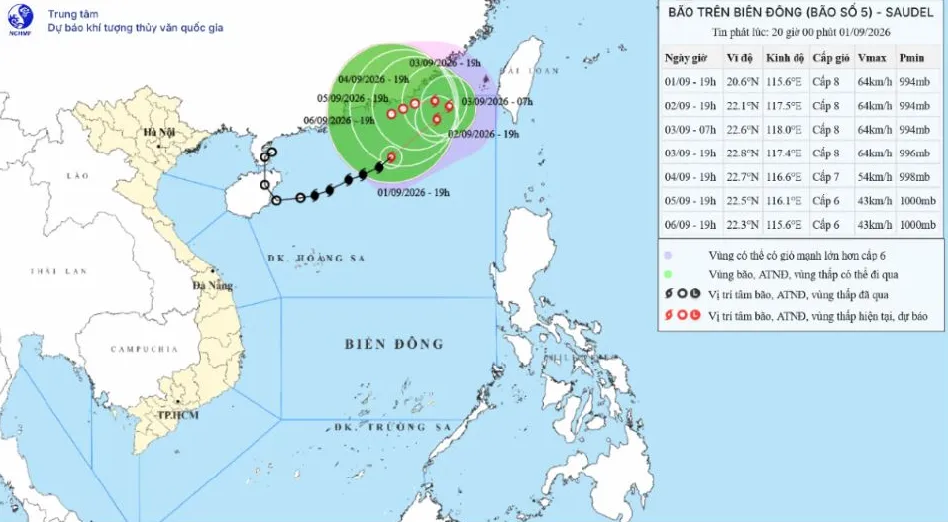 Bão số 5 gây gió mạnh, sóng cao đến 6m trên Biển Đông- Ảnh 1.