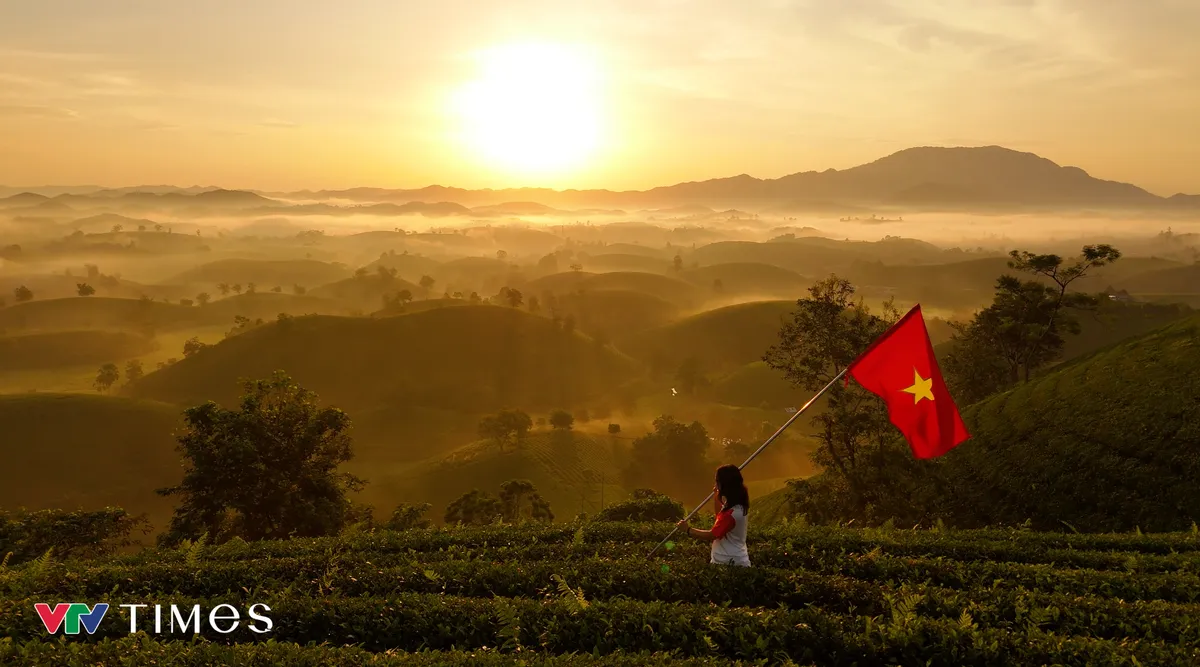 Rực rỡ cờ đỏ sao v&agrave;ng tại đồi ch&egrave; b&aacute;t &uacute;p Lễ Quốc kh&aacute;nh - Ảnh 8.