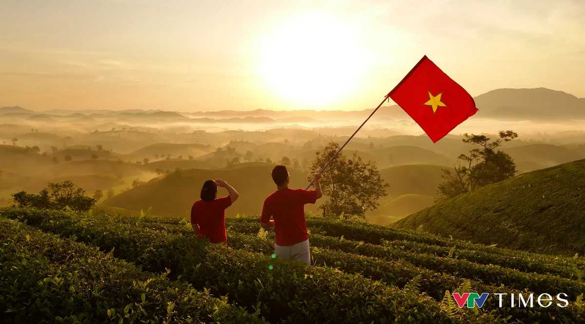 Rực rỡ cờ đỏ sao v&agrave;ng tại đồi ch&egrave; b&aacute;t &uacute;p Lễ Quốc kh&aacute;nh - Ảnh 7.