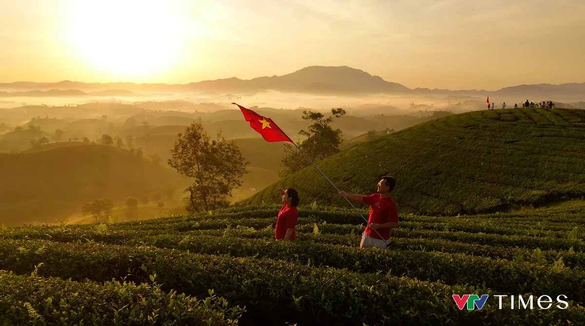 Rực rỡ cờ đỏ sao v&agrave;ng tại đồi ch&egrave; b&aacute;t &uacute;p Lễ Quốc kh&aacute;nh - Ảnh 6.