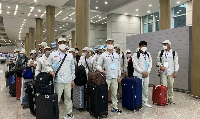 Tự ý ở lại nước ngoài khi hết hợp đồng lao động bị phạt đến 100 triệu đồng - Ảnh 1.