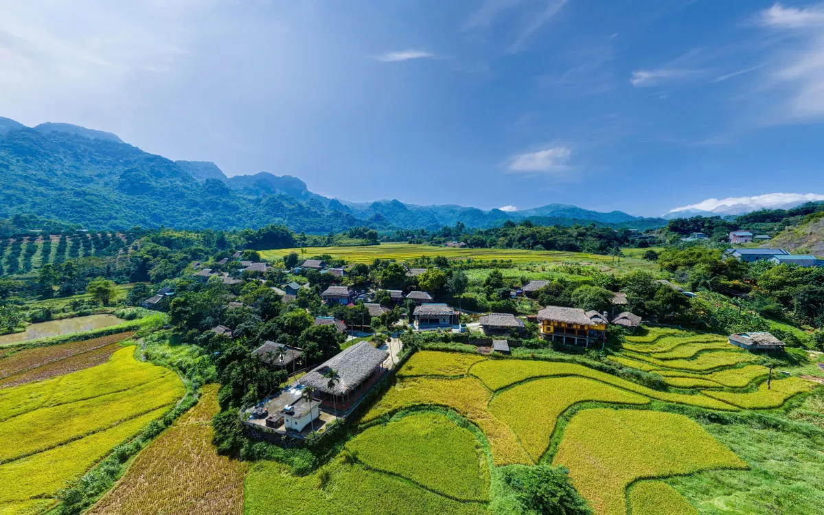 Mùa lúa chín ở Xóm Mỗ, Hòa Bình. Ảnh: Thu Hường