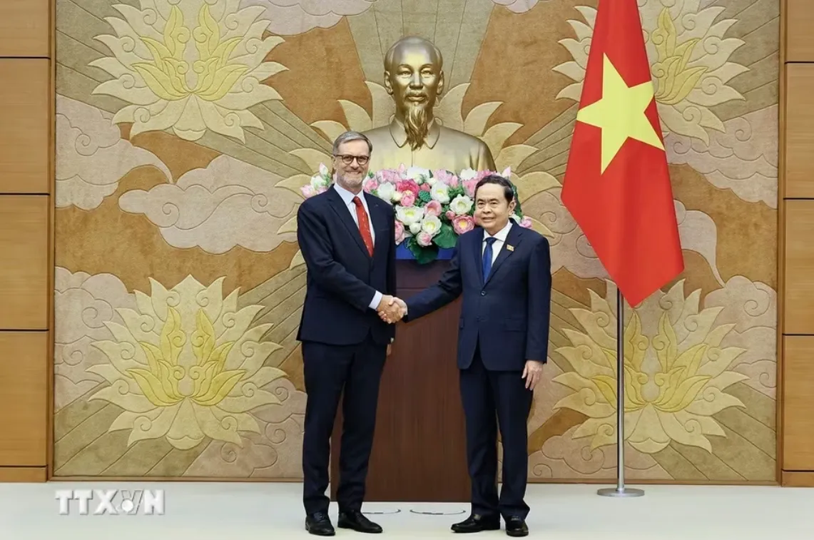 Đưa quan hệ Việt Nam - Pháp phát triển thực chất- Ảnh 1.